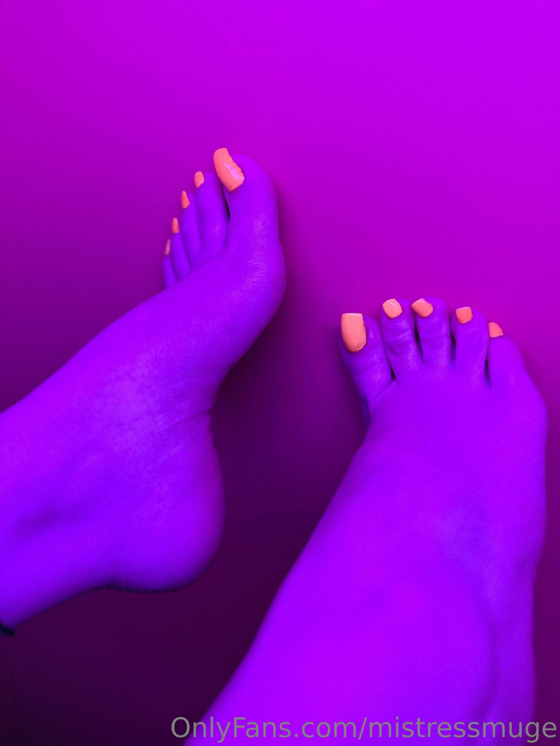 Miss Muge 50 scaled
